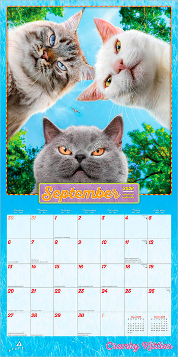 Avanti Cranky Kitties 2026 Square Wall Calendar