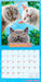Avanti Cranky Kitties 2026 Square Wall Calendar