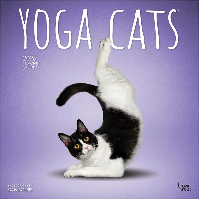 Yoga Cats 2026 Square Wall Calendar