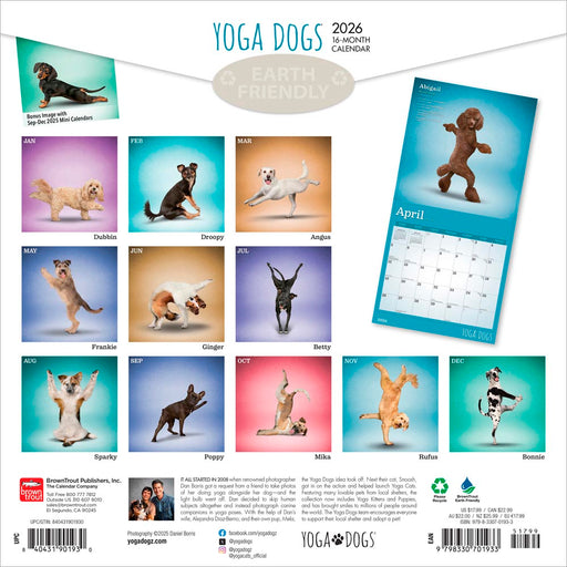 Yoga Dogs 2026 Square Wall Calendar