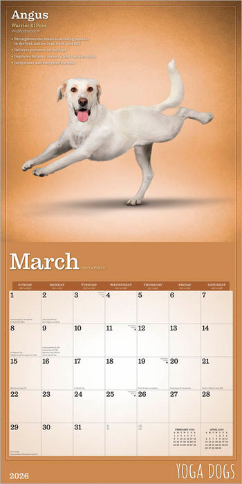 Yoga Dogs 2026 Square Wall Calendar