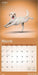Yoga Dogs 2026 Square Wall Calendar