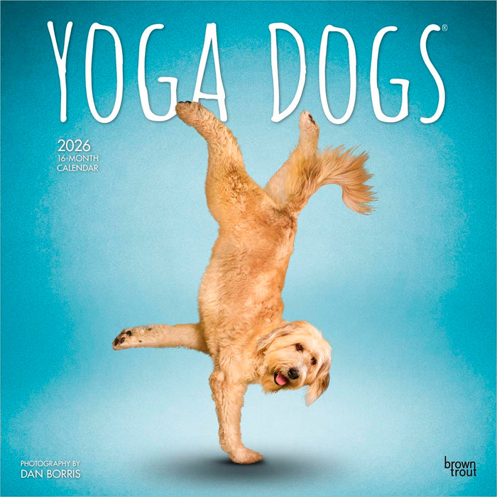 Yoga Dogs 2026 Square Wall Calendar