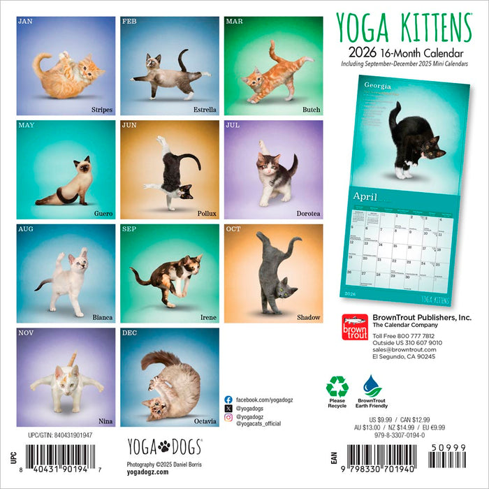 Yoga Kittens 2026 Mini Wall Calendar