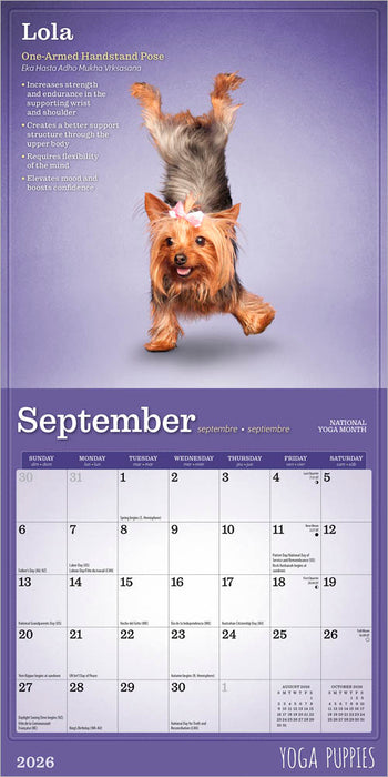 Yoga Puppies 2026 Mini Wall Calendar