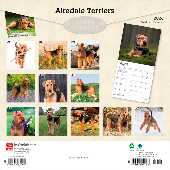 Airedale Terriers 2026 Square Wall Calendar