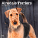 Airedale Terriers 2026 Square Wall Calendar