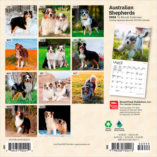 Australian Shepherds 2026 Mini Wall Calendar