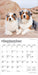 Australian Shepherds 2026 Mini Wall Calendar