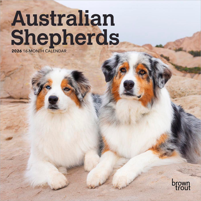Australian Shepherds 2026 Mini Wall Calendar