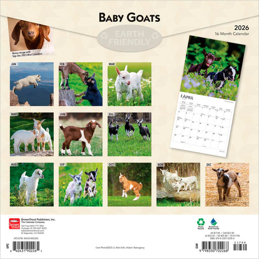 Baby Goats 2026 Square Wall Calendar