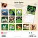 Baby Goats 2026 Square Wall Calendar