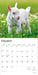 Baby Goats 2026 Square Wall Calendar