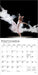 Ballet 2026 Mini Wall Calendar