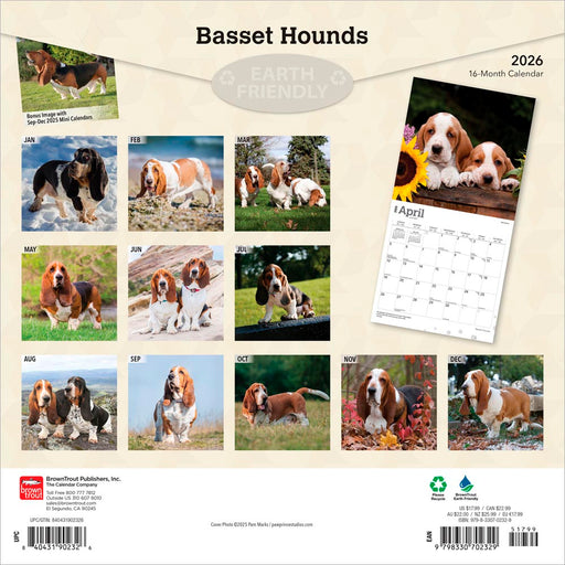 Basset Hounds 2026 Square Wall Calendar (Online Exclusive)