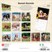 Basset Hounds 2026 Square Wall Calendar (Online Exclusive)