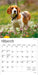 Beagles 2026 Mini Wall Calendar
