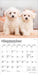 Bichon Frise Puppies 2026 Mini Wall Calendar