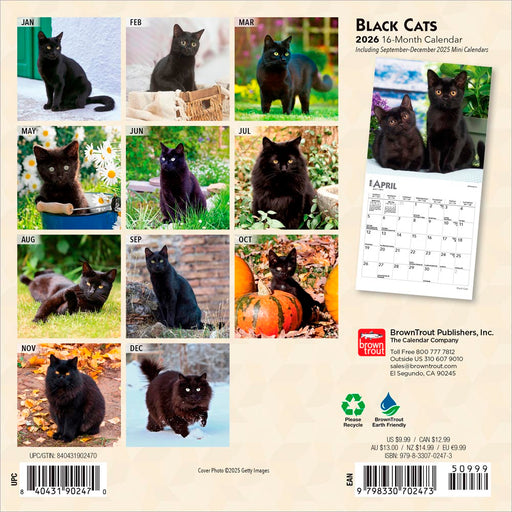 Black Cats 2026 Mini Wall Calendar