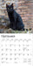 Black Cats 2026 Mini Wall Calendar