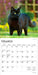 Black Cats 2026 Mini Wall Calendar