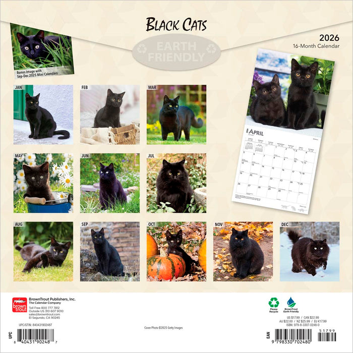 Black Cats 2026 Square Wall Calendar