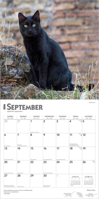 Black Cats 2026 Square Wall Calendar