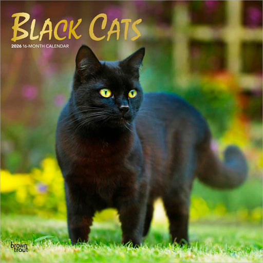 Black Cats 2026 Square Wall Calendar