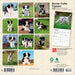 Border Collie Puppies 2026 Mini Wall Calendar