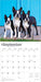 Boston Terriers 2026 Square Wall Calendar