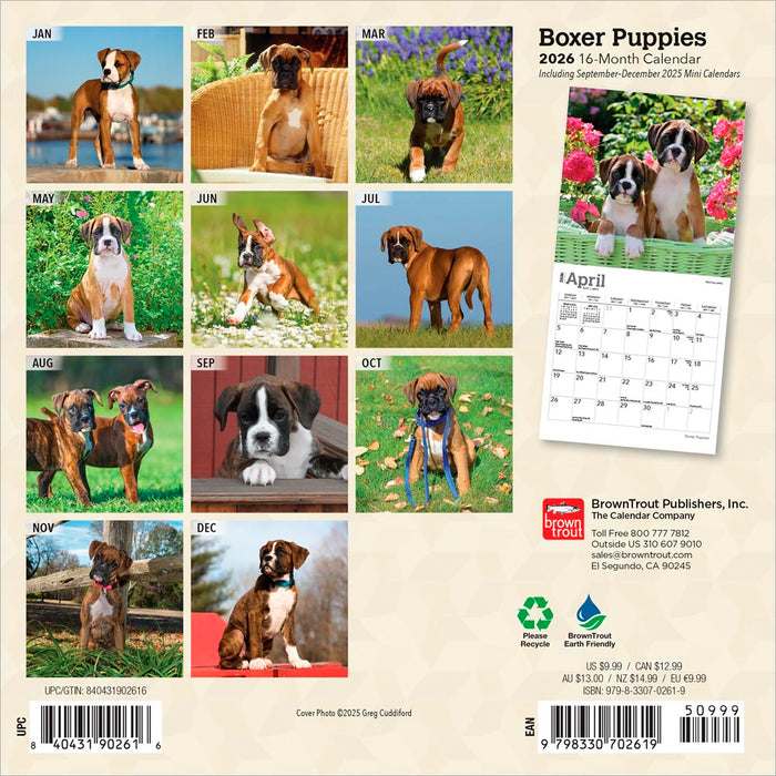 Boxer Puppies 2026 Mini Wall Calendar