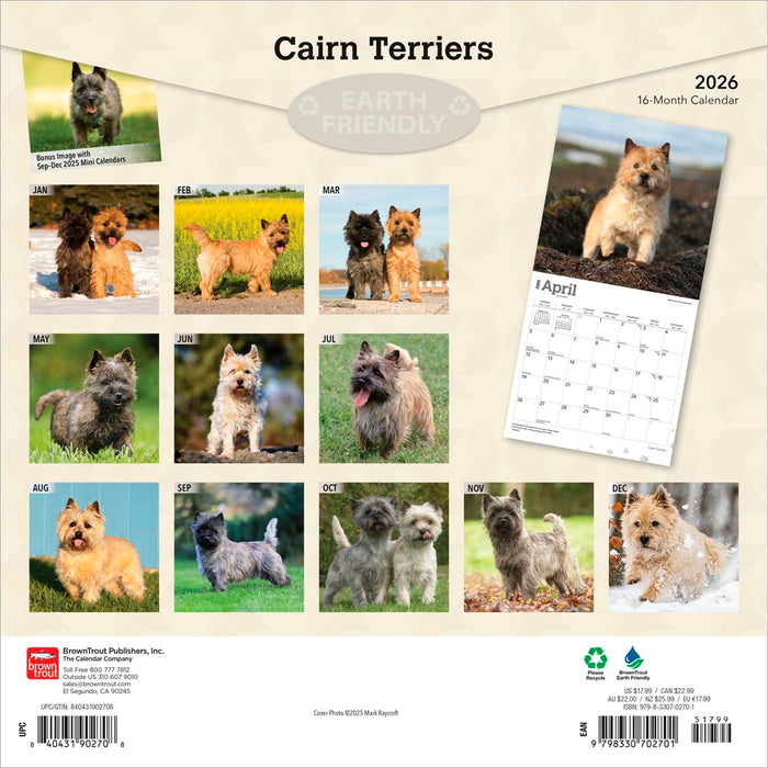 Cairn Terriers 2026 Square Wall Calendar