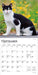 Cat Lovers 2026 Mini Wall Calendar