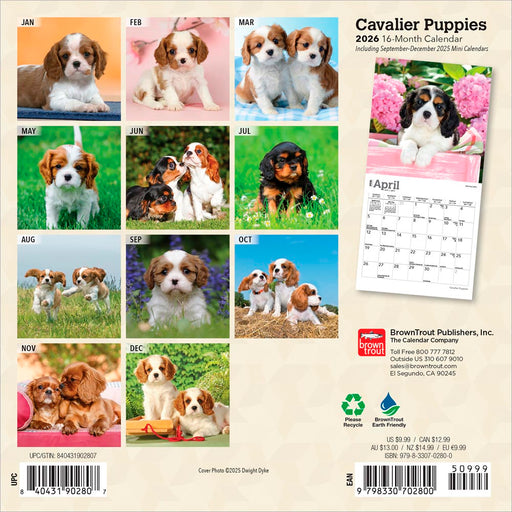 Cavalier Puppies 2026 Mini Wall Calendar