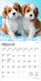 Cavalier Puppies 2026 Mini Wall Calendar
