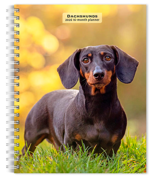 Dachshunds 2026 Weekly Diary