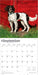 English Springer Spaniels 2026 Square Wall Calendar