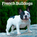 French Bulldogs 2026 Mini Wall Calendar