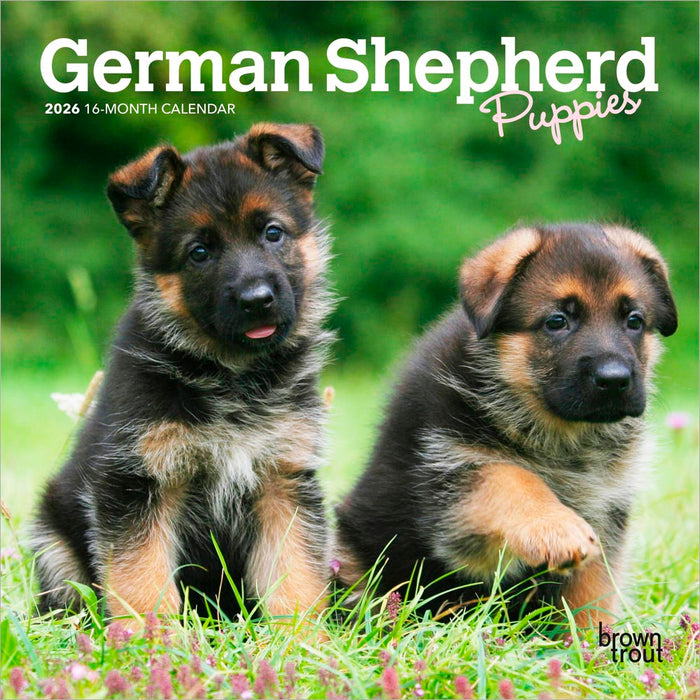 German Shepherd Puppies 2026 Mini Wall Calendar