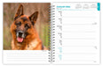 German Shepherds 2026 Weekly Diary