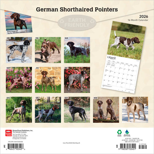 German Shorthaired Pointers 2026 Square Wall Calendar