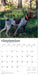 German Shorthaired Pointers 2026 Square Wall Calendar