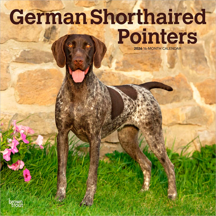 German Shorthaired Pointers 2026 Square Wall Calendar