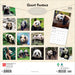 Giant Pandas 2026 Square Wall Calendar