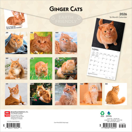Ginger Cats 2026 Square Wall Calendar