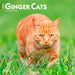 Ginger Cats 2026 Square Wall Calendar