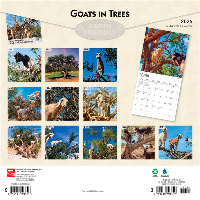 Goats in Trees 2026 Square Wall Calendar