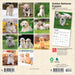 Golden Retriever Puppies 2026 Mini Wall Calendar