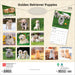 Golden Retriever Puppies 2026 Square Wall Calendar