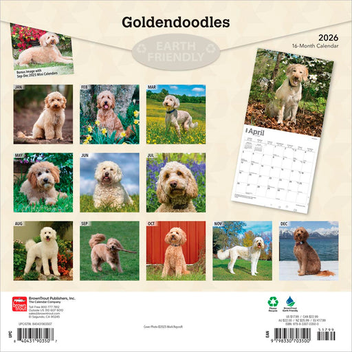 Goldendoodles 2026 Square Wall Calendar